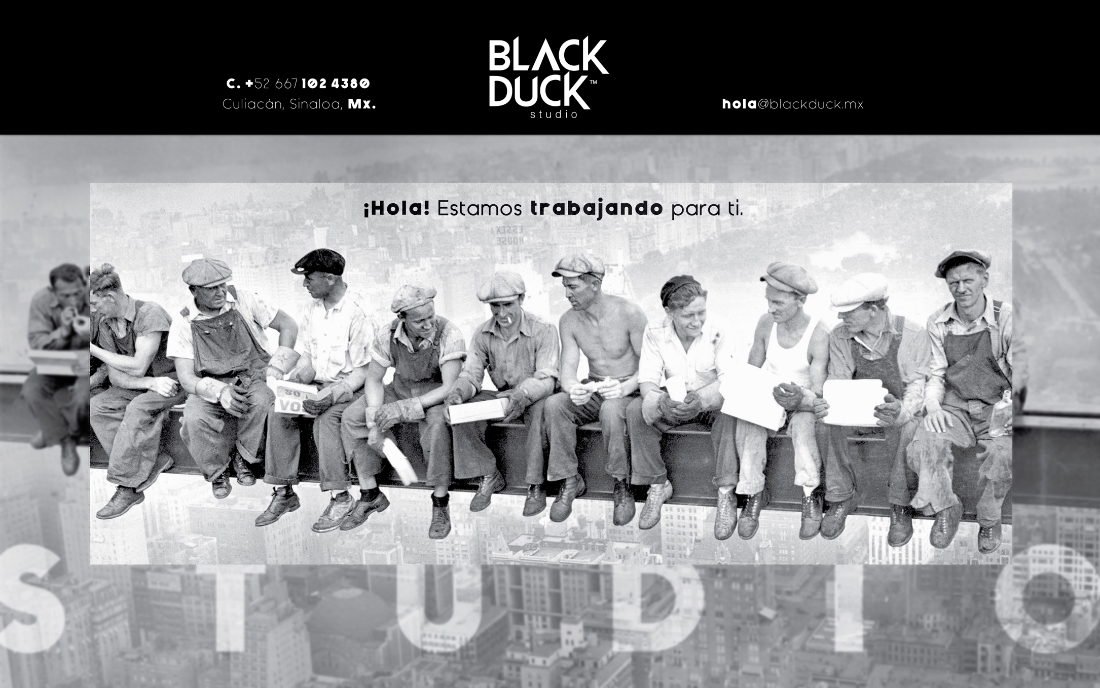 Black Duck - Estamos en construcción - plantilla de fondo